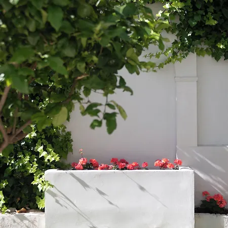 Infanta Leonor 4* Écija